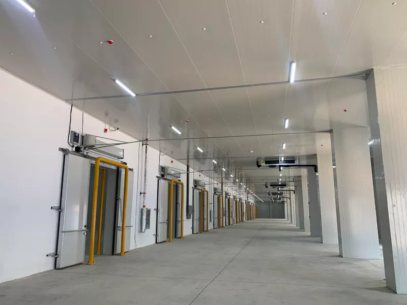 Staalstructuurmagazijn voor koeling